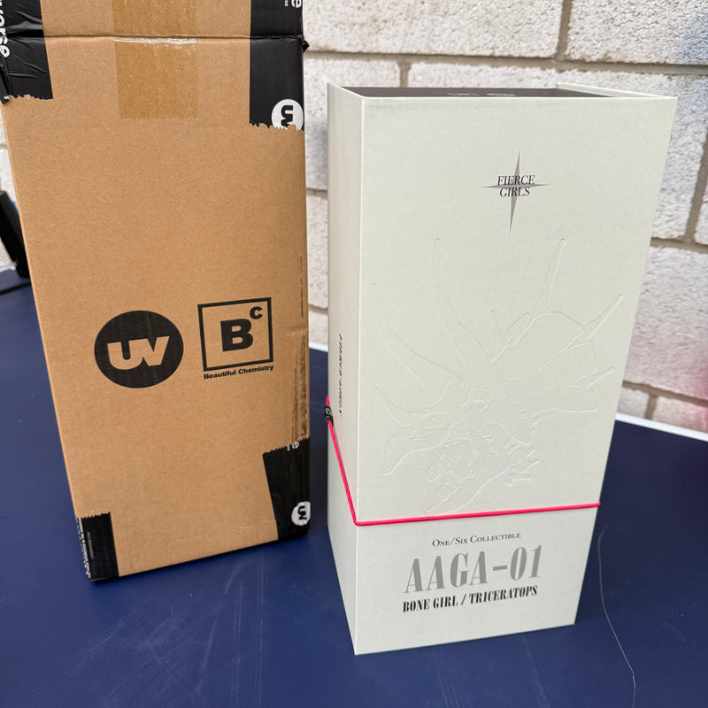 Ashley Wood Underverse Beautiful Chemistry Fierce Girls AAGA-01 1/6 Scale Collectible Figure