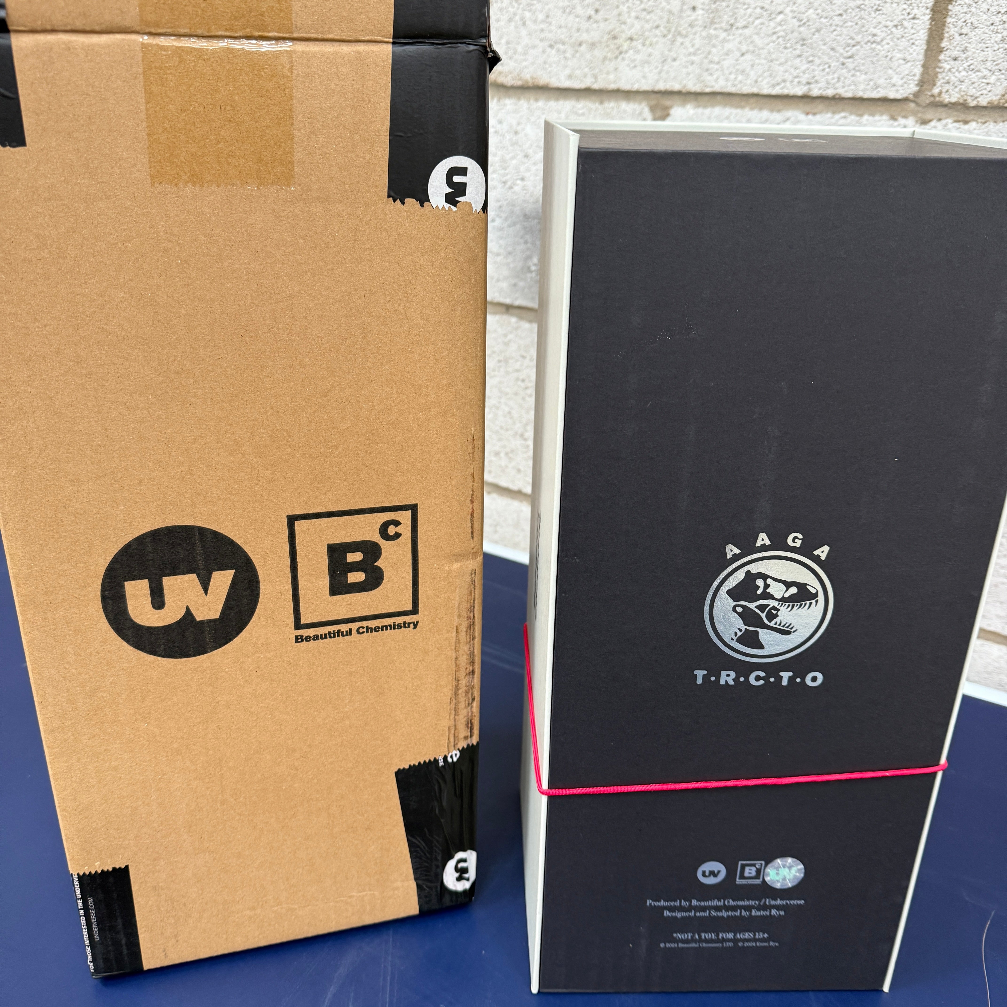 Ashley Wood Underverse Beautiful Chemistry Fierce Girls AAGA-01 1/6 Scale Collectible Figure