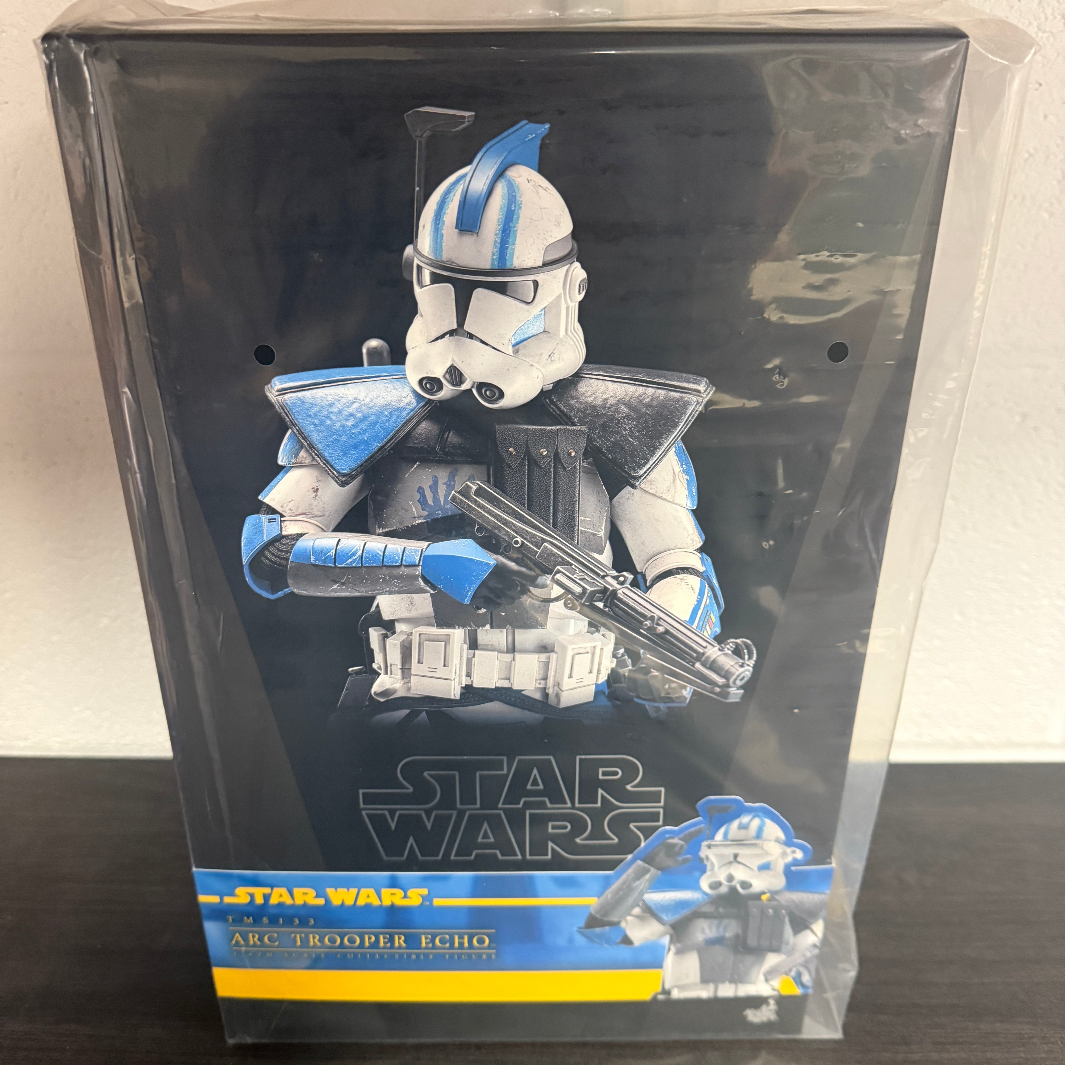 Hot Toys Star Wars Clone Wars Arc Trooper Echo 1/6 Scale Collectible Figure IMPORT STOCK