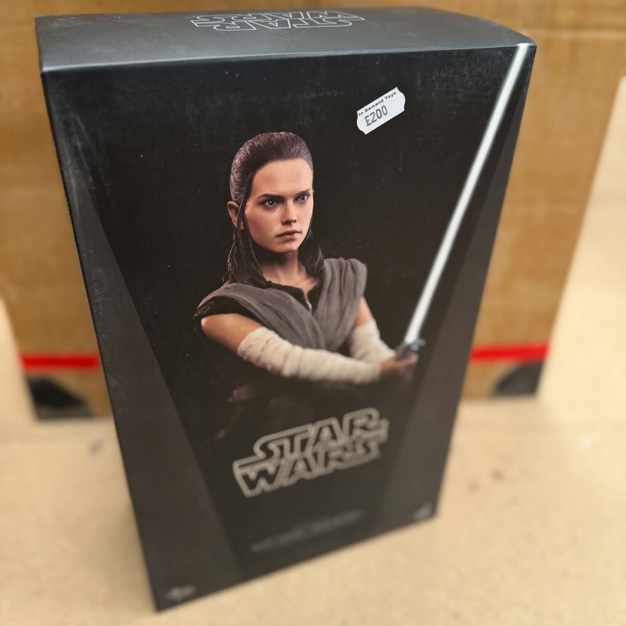 Hot Toys Star Wars Rey Jedi Training 1/6 Scale Figure PRE OWNED