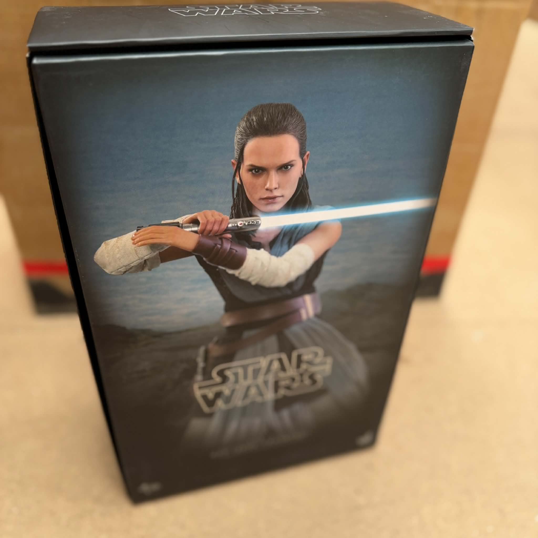 Hot Toys Star Wars Rey Jedi Training 1/6 Scale Figure PRE OWNED