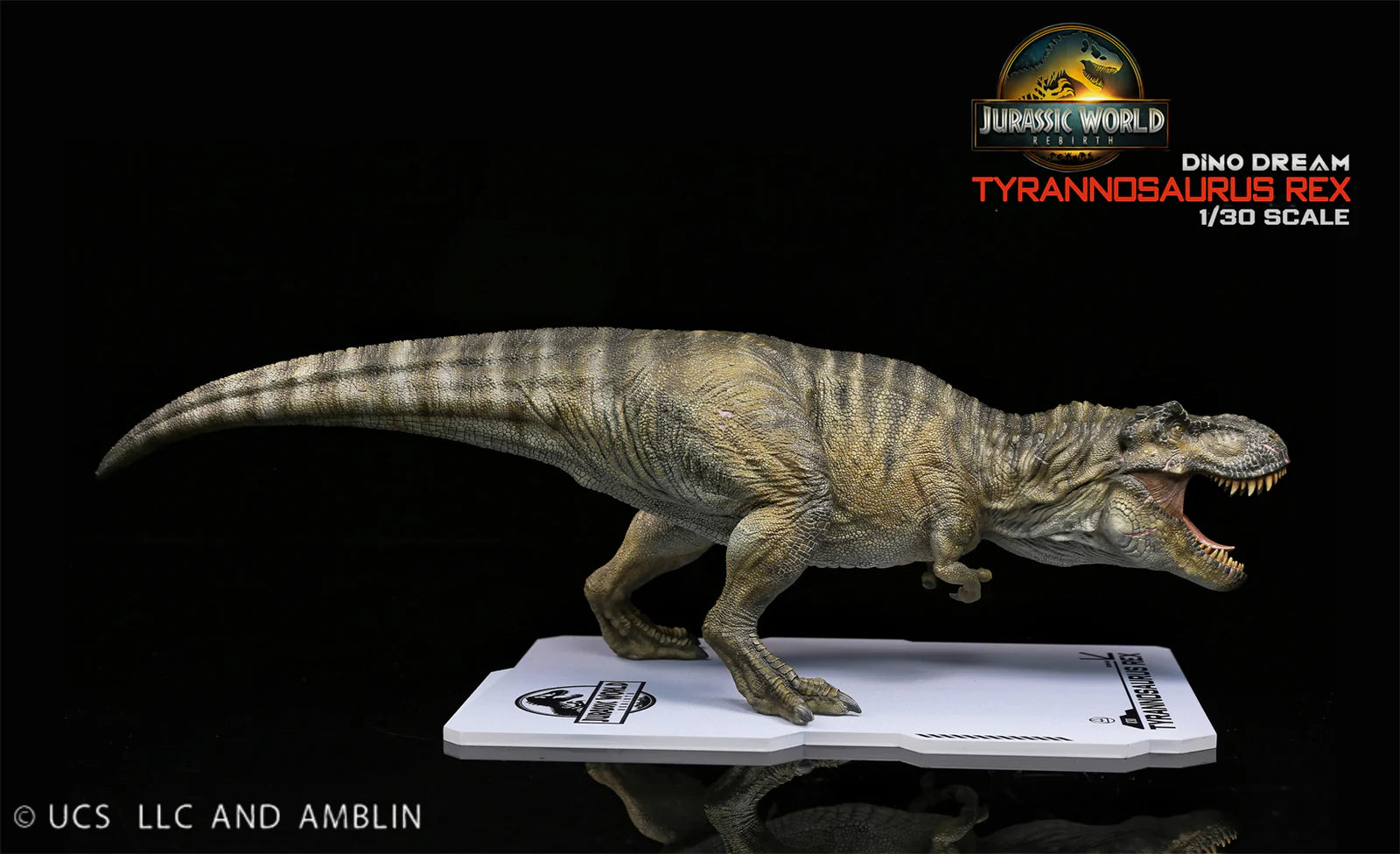 Dino Dream Jurassic World Rebirth Tyranosaurus Rex 1/30 Scale Resin Model