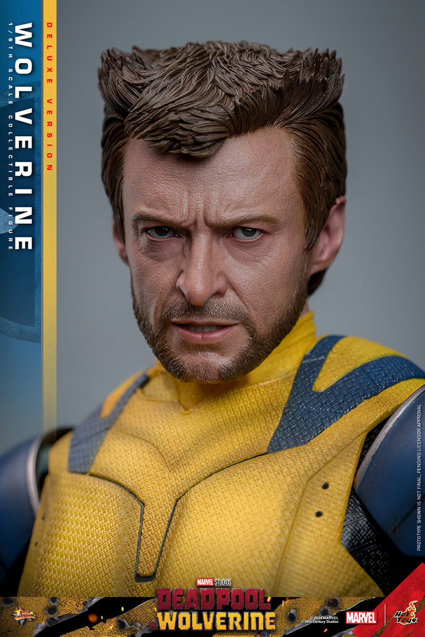 Hot Toys Deadpool and Wolverine Wolverine Deluxe Version MMS754 1/6 Scale Collectible Figure IMPORT STOCK