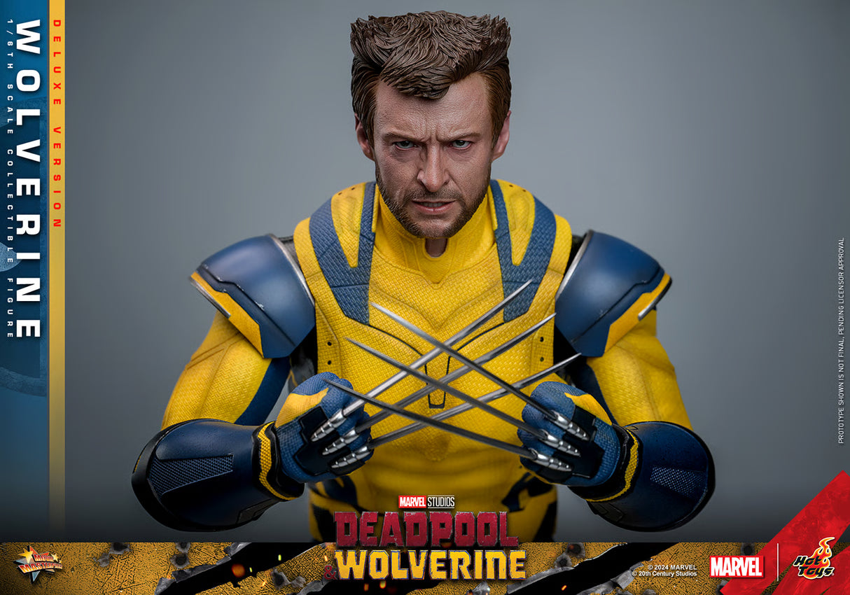 Hot Toys Deadpool and Wolverine Wolverine Deluxe Version MMS754 1/6 Scale Collectible Figure IMPORT STOCK