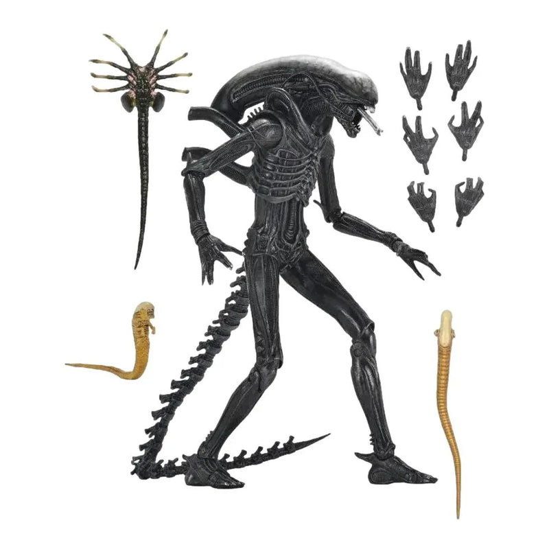 Neca Alien Romulus Ultimate Xenomorph XX121 7" Figure