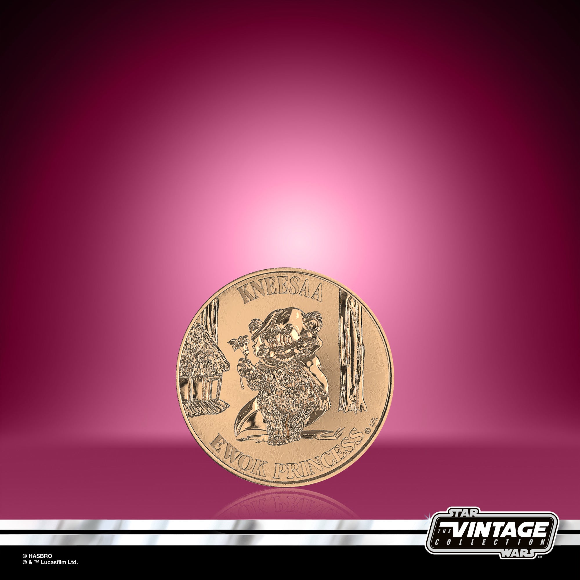 Star Wars Vintage Collection (Ewoks) Wicket and Kneesaa 2 Pack