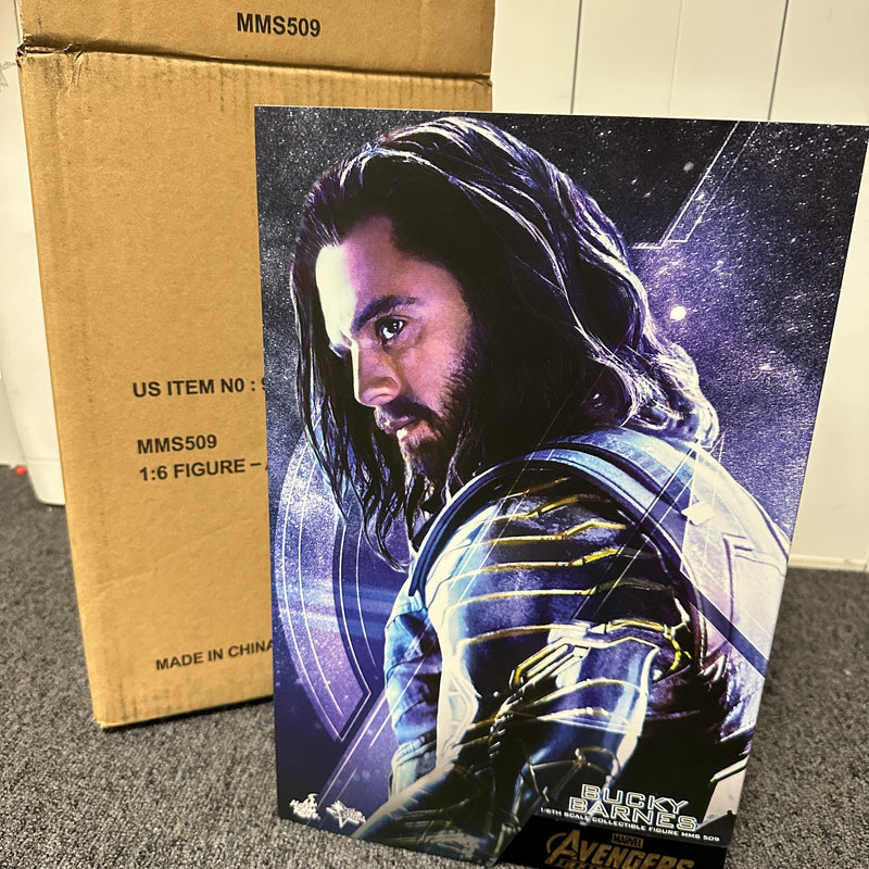 Hot Toys Infinity War Bucky Barnes 1/6 Scale PRE OWNED