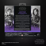 PRE-ORDER Star Wars Black Series (Shadows Of The Empire) Luke (Imperial Guard) & Leia (Boussh)