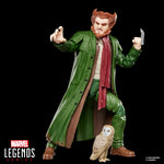 PRE-ORDER Marvel Legends Spider-Man Retro Owl