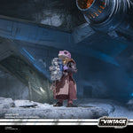 PRE-ORDER Star Wars Vintage Collection (The Mandalorian) 3 Pack - Trapper Wolf, Carson Teva & Frog Lady