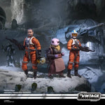PRE-ORDER Star Wars Vintage Collection (The Mandalorian) 3 Pack - Trapper Wolf, Carson Teva & Frog Lady