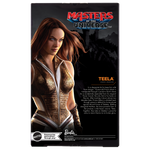 Barbie Signature Masters of the Universe Teela