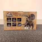 Dino Dream Jurassic World Triceratops 1/30 Scale Resin Model
