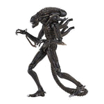 NECA Aliens 1986 Alien Warrior Xenomorph Ultimate 7″ Scale Action Figure - Brown