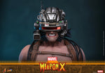 PRE-ORDER Hot Toys Comic Weapon X 1/6 Scale Collectible Figure  IMPORT STOCK