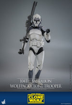 Hot Toys Star Wars 104th Battalion Wolfpack Clone Trooper 1/6th Scale Collectible Figure IMPORT STOCK