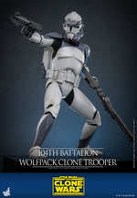 Hot Toys Star Wars 104th Battalion Wolfpack Clone Trooper 1/6th Scale Collectible Figure IMPORT STOCK