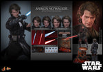 PRE-ORDER Hot Toys Star Wars Revenge of the Sith Anakin Skywalker MMS839 1/6 Scale Collectible Figure IMPORT STOCK