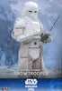 Hot Toys Star Wars Imperial Remnant Snowtrooper 1/6 Scale Collectible Figure IMPORT STOCK