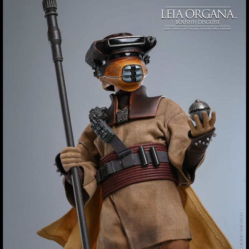 PRE-ORDER Hot Toys Star Wars Return of the Jedi Leia Organa in Boushh Disguise 1/6 Scale Collectible Figure IMPORT STOCK