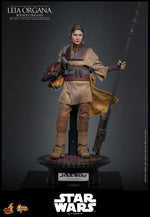 PRE-ORDER Hot Toys Star Wars Return of the Jedi Leia Organa in Boushh Disguise 1/6 Scale Collectible Figure IMPORT STOCK