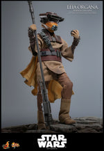 PRE-ORDER Hot Toys Star Wars Return of the Jedi Leia Organa in Boushh Disguise 1/6 Scale Collectible Figure IMPORT STOCK