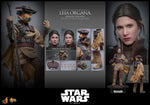 PRE-ORDER Hot Toys Star Wars Return of the Jedi Leia Organa in Boushh Disguise 1/6 Scale Collectible Figure IMPORT STOCK