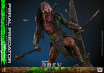 PRE-ORDER Hot Toys Feral Predator Battle Damaged Version 1/6 Scale Collectible  IMPORT STOCK