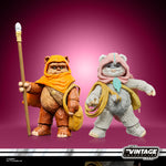 Star Wars Vintage Collection (Ewoks) Wicket and Kneesaa 2 Pack