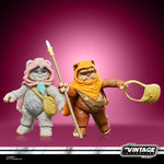 Star Wars Vintage Collection (Ewoks) Wicket and Kneesaa 2 Pack