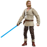 Star Wars Vintage Collection (Obi-Wan Kenobi Series) Obi -Wan (Wandering Jedi)